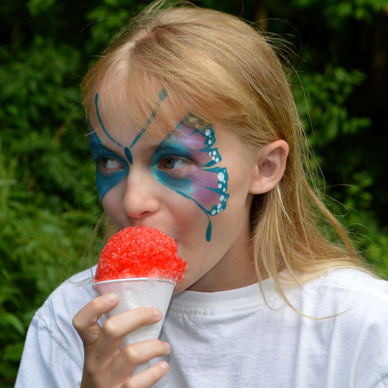 Butterfly Face Painting