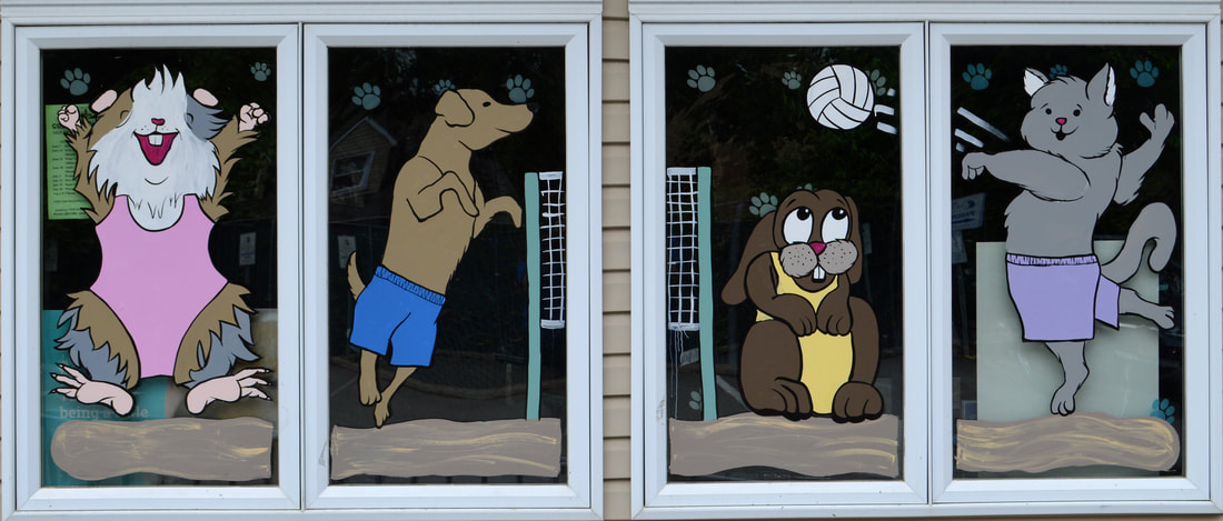 Summer Window Art at Maywood Veterinary Hospital in Maywood, Bergen County, NJ, featuring pets playing beach volleyball