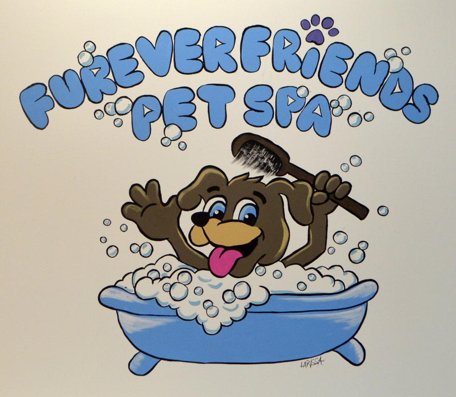 Logo Wall Mural at FurEver Friends Pet Spa in Bardonia, Rockland County, NY