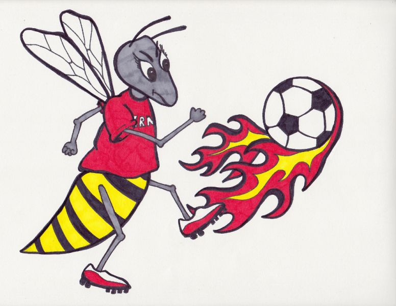 Logo for Herndon Hornets Soccer Team T-Shirts